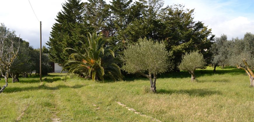 Terreno edificabile in Vendita a Caltagirone (Catania)