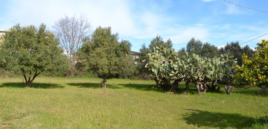 Terreno edificabile in Vendita a Caltagirone (Catania)