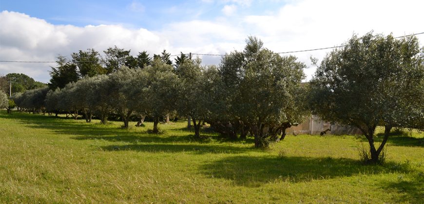 Terreno edificabile in Vendita a Caltagirone (Catania)