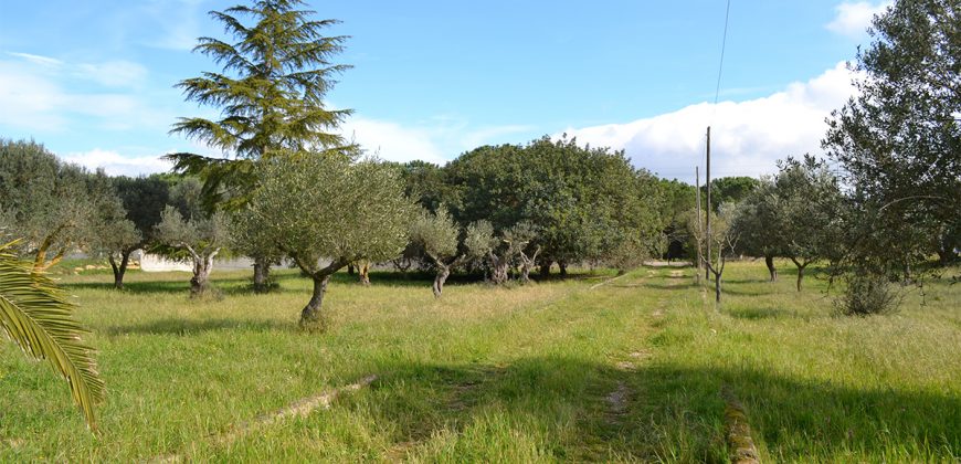 Terreno edificabile in Vendita a Caltagirone (Catania)