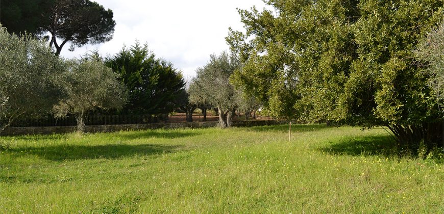 Terreno edificabile in Vendita a Caltagirone (Catania)